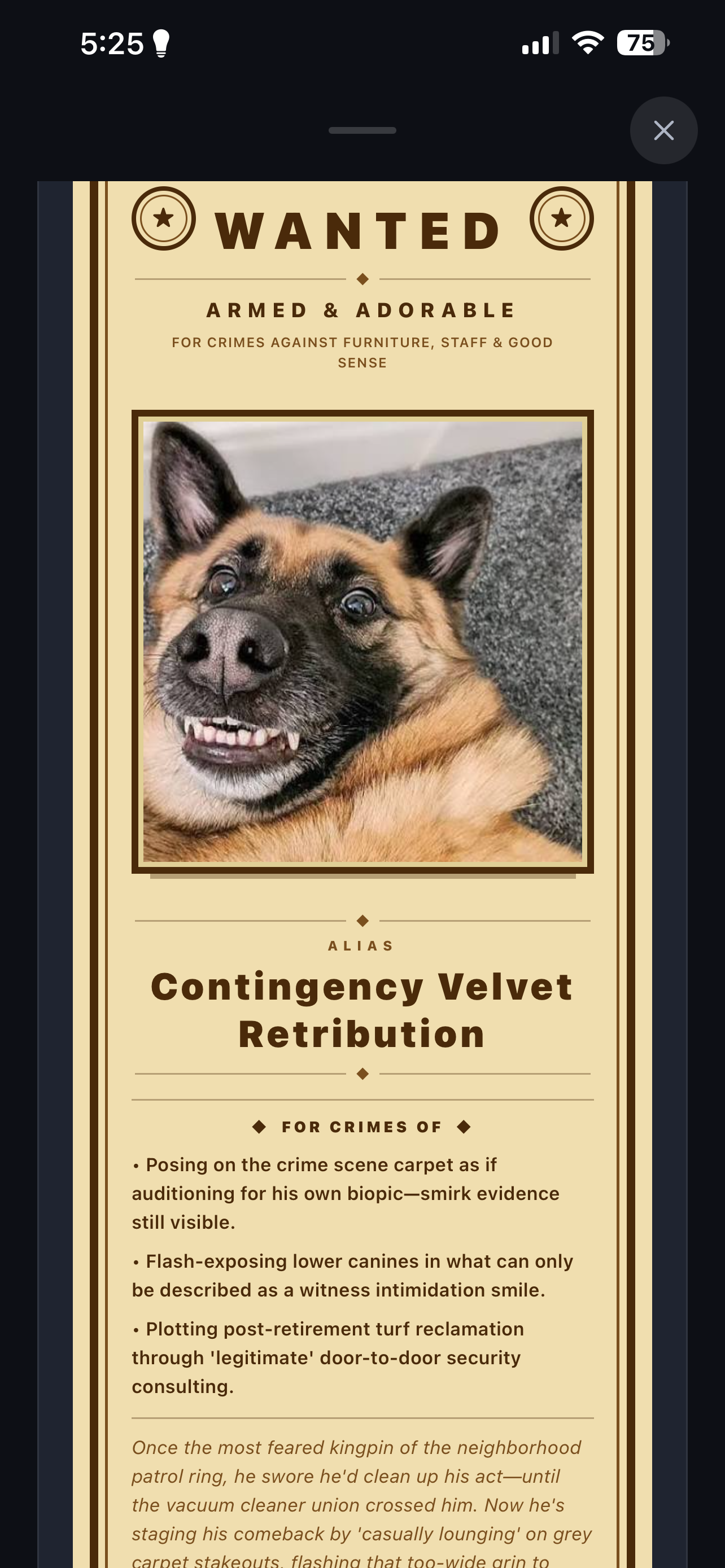 Vintage style wanted poster generated for a pet by Pet Plotting