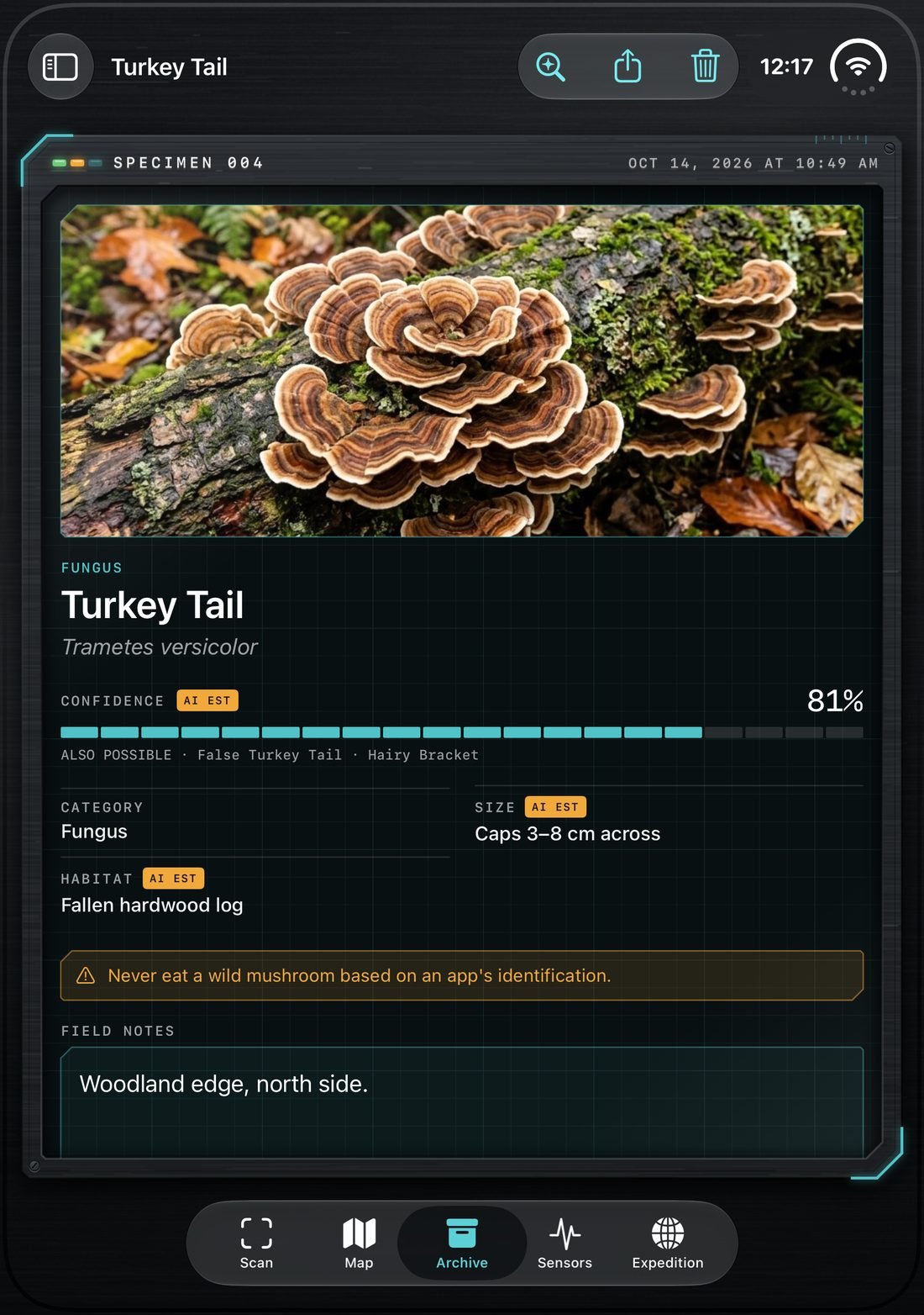 Open portrait: Specimen 004, Turkey Tail fungus, 81% confidence, with a warning never to eat a wild mushroom based on an app's identification